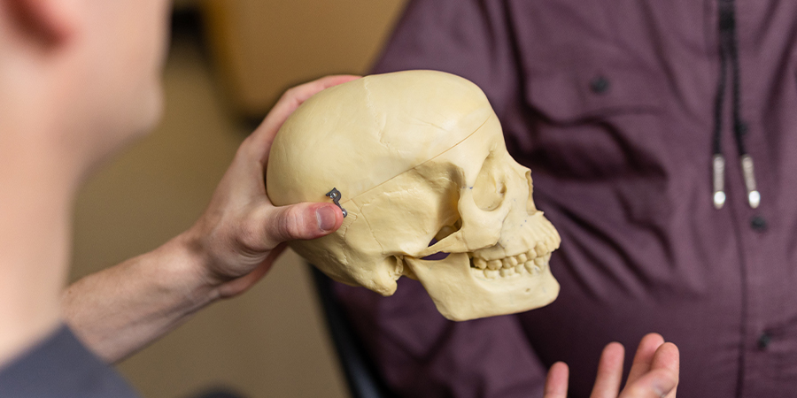 surgeon using a model of a skull to discuss corrective jaw surgery